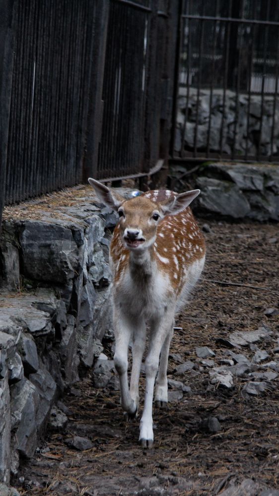 Photograph by Денис Бочаров