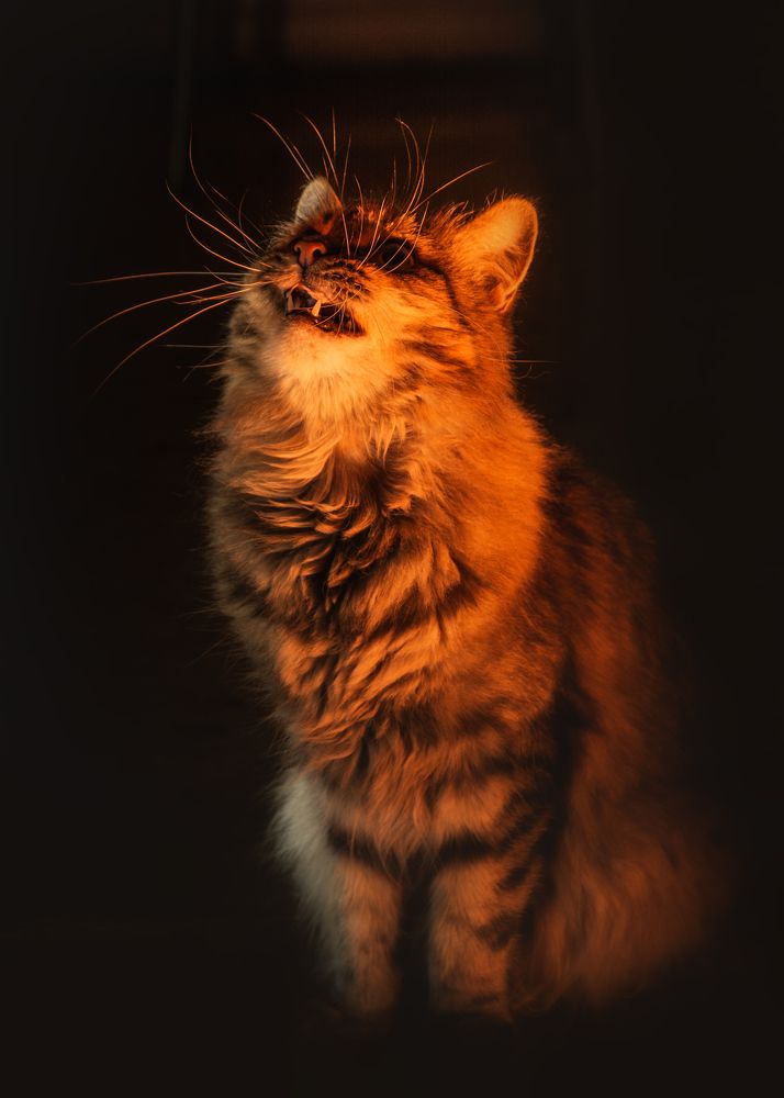 Photograph by Victor Stepanov