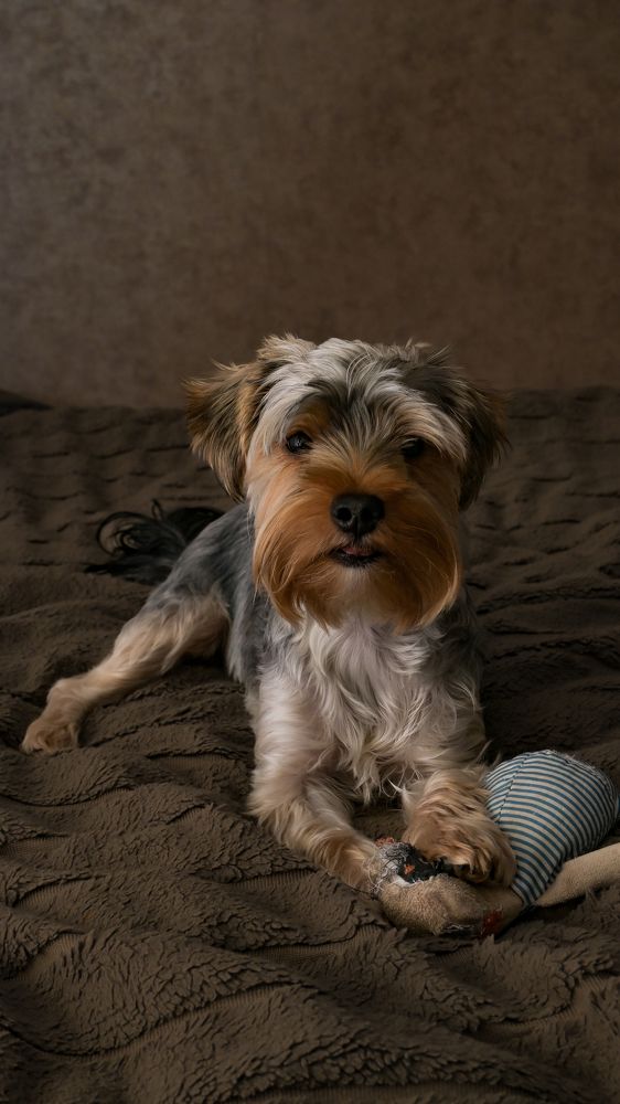 Photograph by Денис Бочаров