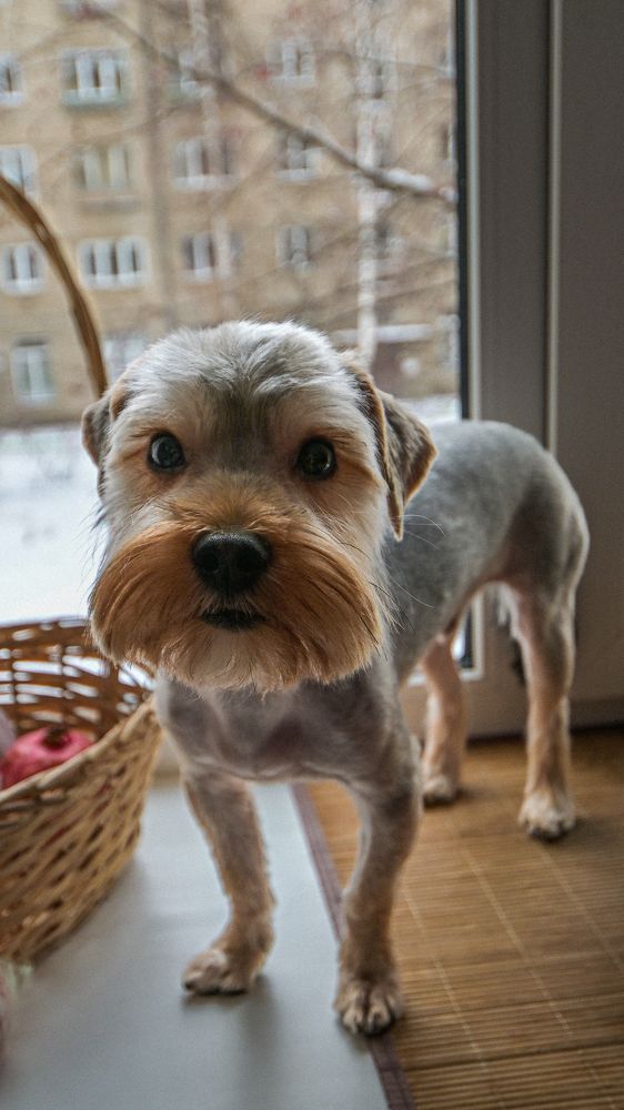 Photograph by Денис Бочаров