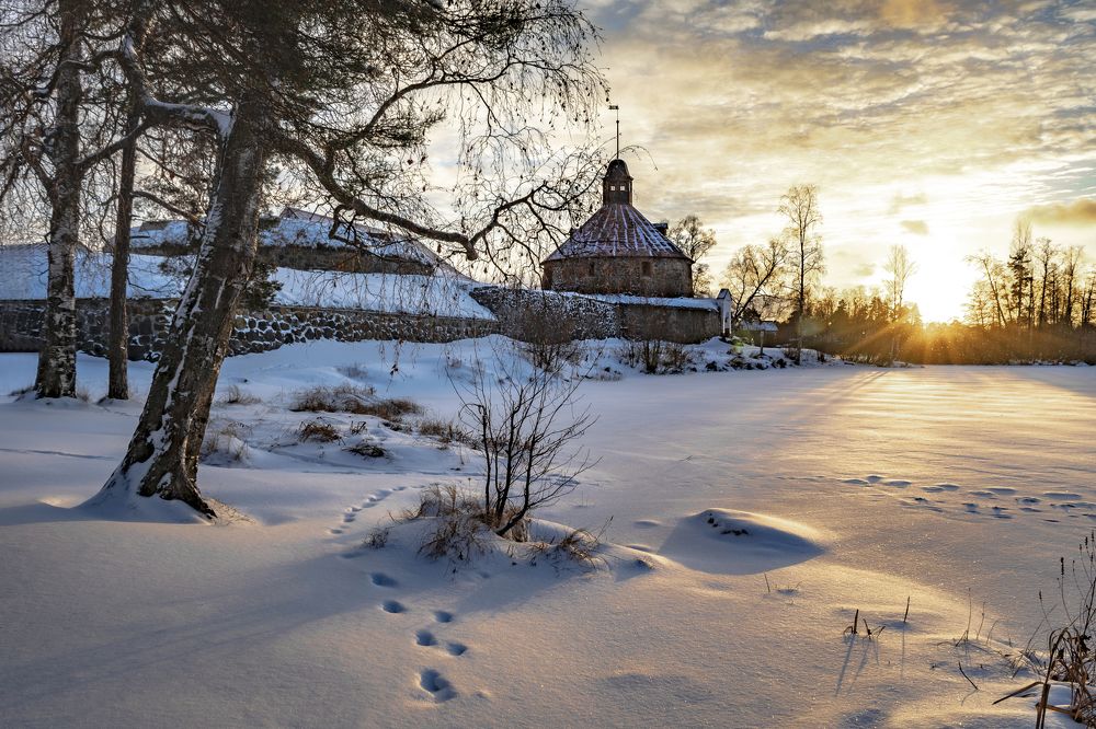 Photograph by Максим Сорокин