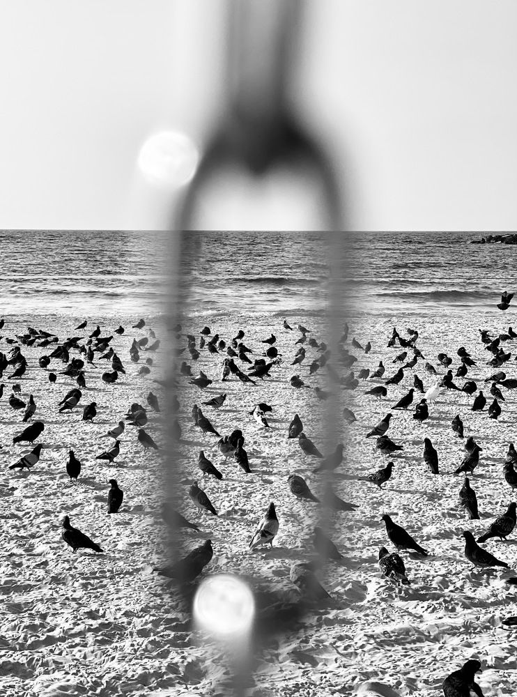 Photograph by Daniela