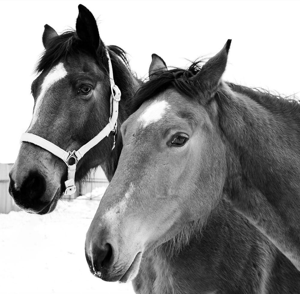 Photograph by Елена Куртеева