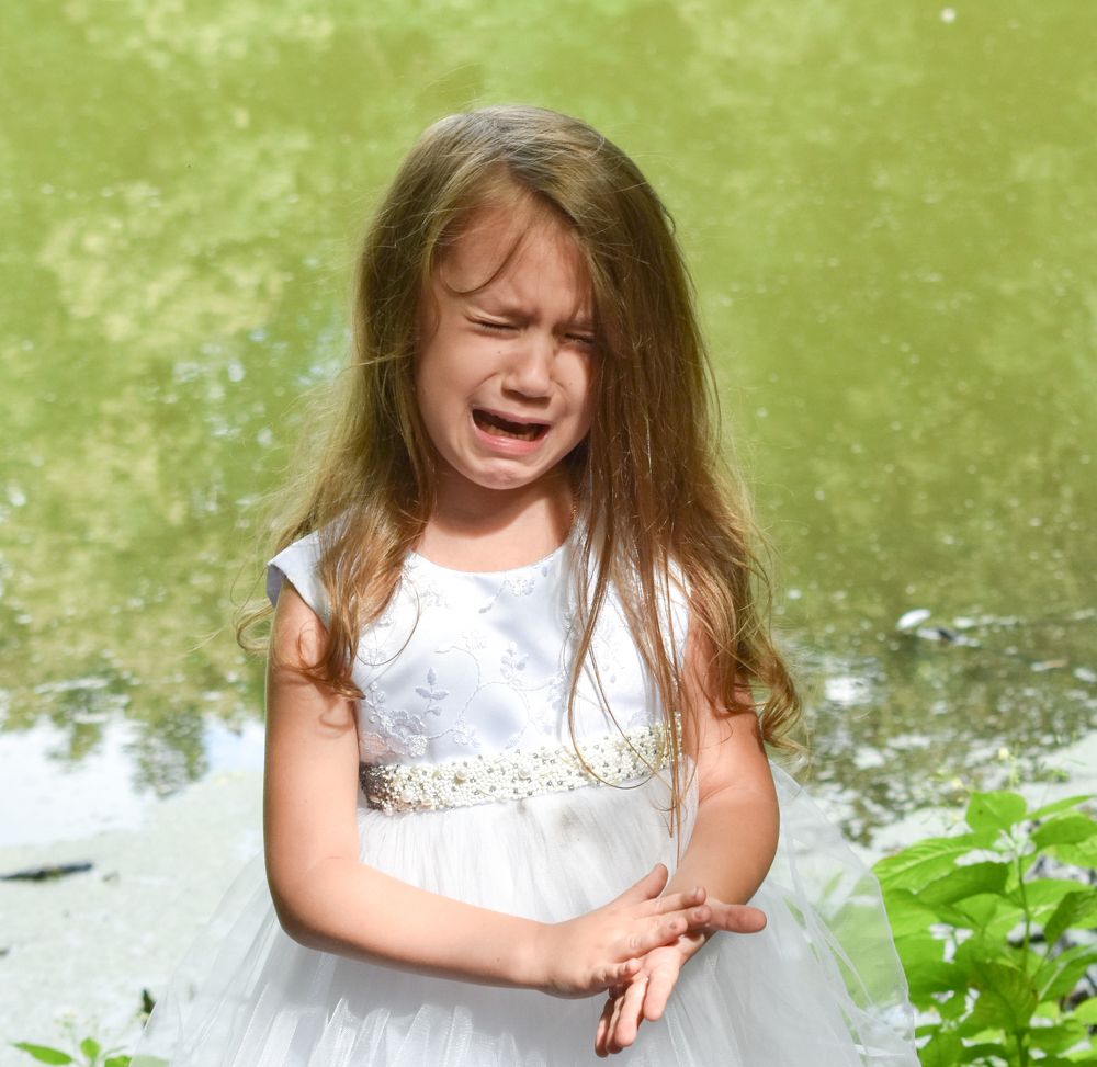 Фотография автора АНАСТАСИЯ ЛЕВИНА