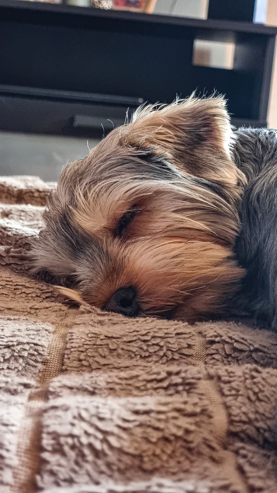 Photograph by Денис Бочаров