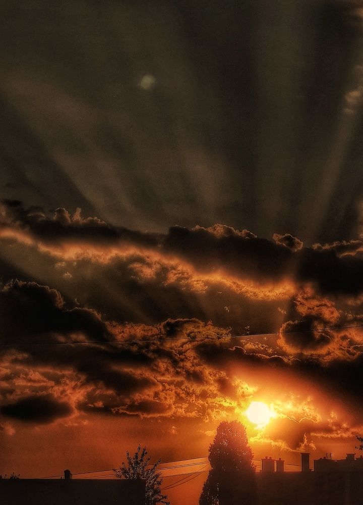 Фотография автора Максим Светличный