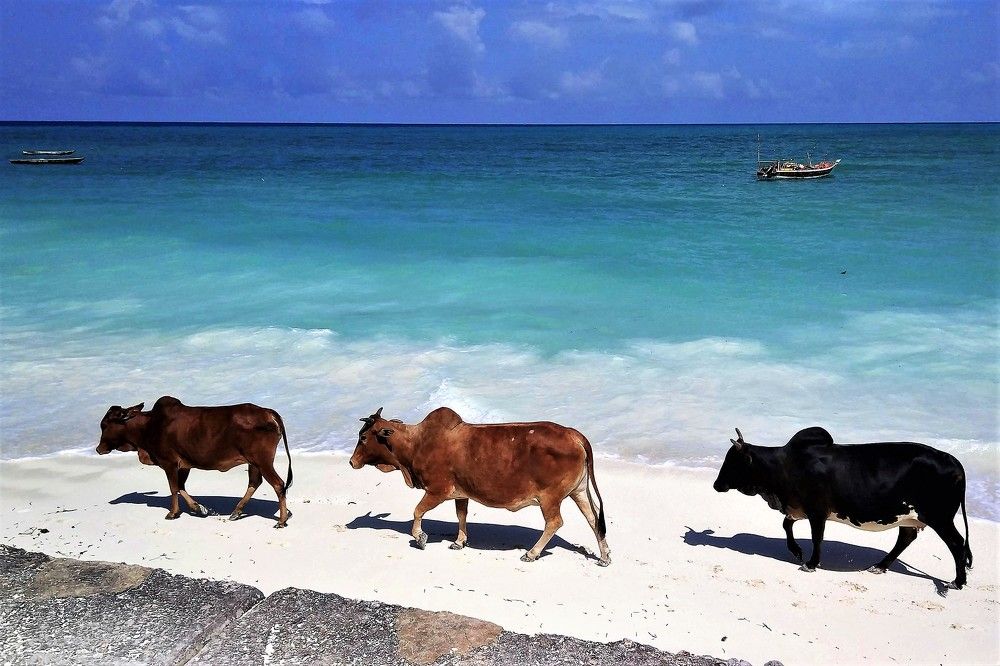 Photograph by Iuliia Akhulkova