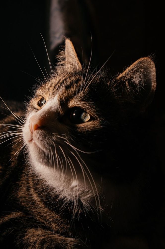 Photograph by Наталья Шаклеина