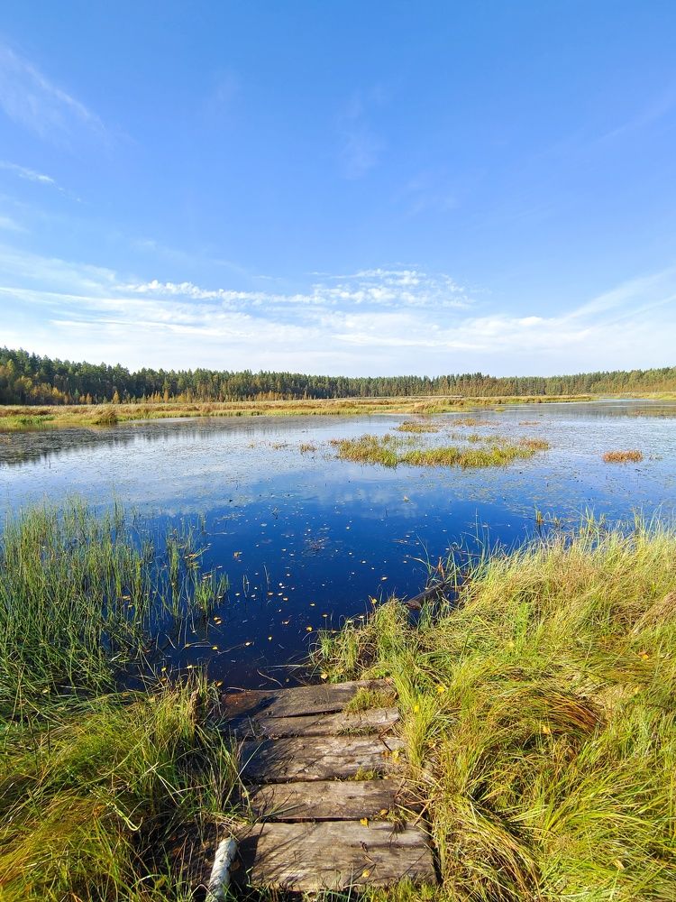 Photograph by Олег Васильев