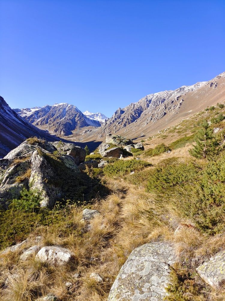 Photograph by Олег Васильев