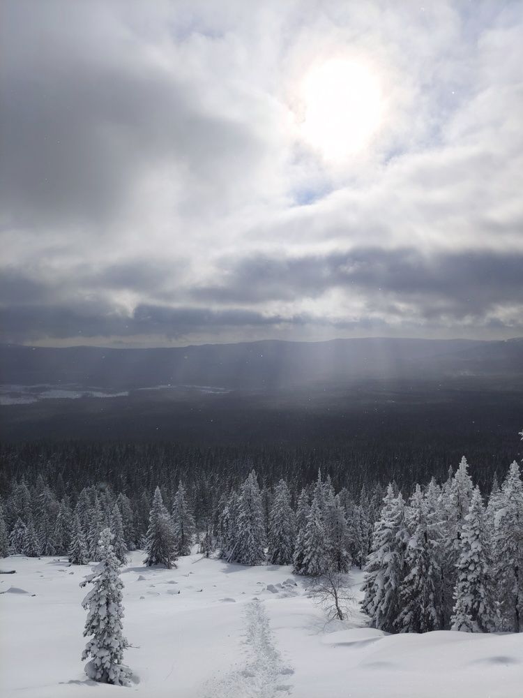 Photograph by Олег Васильев