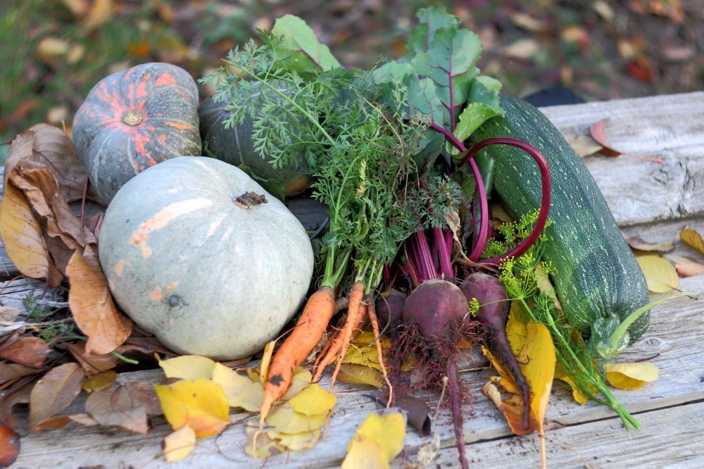 Photograph by Юрий Варюхин