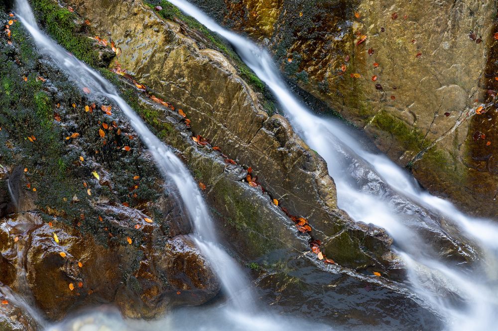 Photograph by Евгения Чех