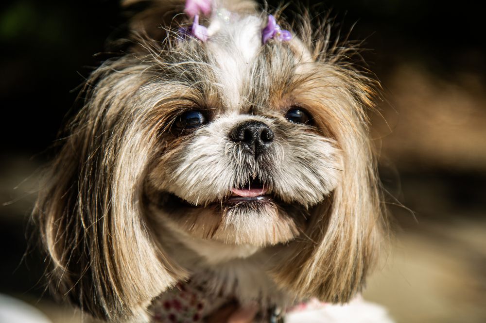 Photograph by Тим Бабурин