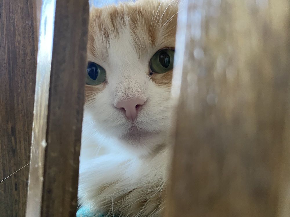 Фотография автора Анна Могилева