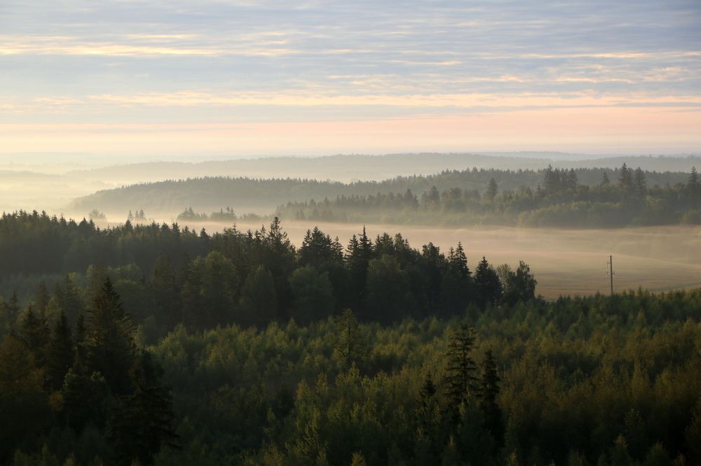 Photograph by Владимир Науменко