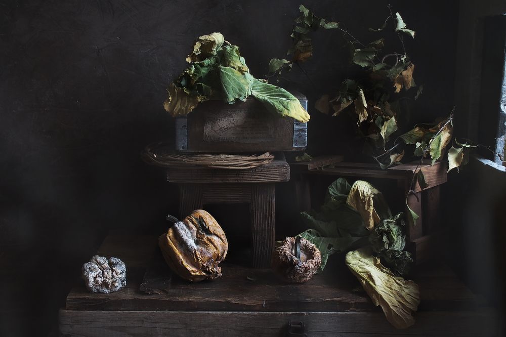 Фотография автора Svetlana Inyusheva