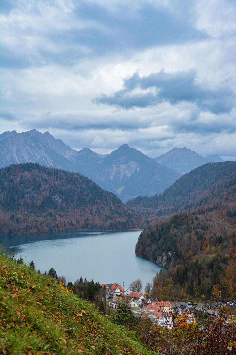 Photo #9811866