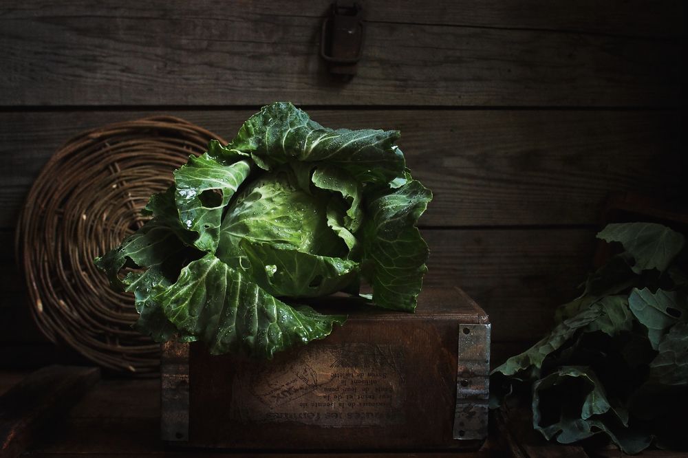 Photograph by Svetlana Inyusheva