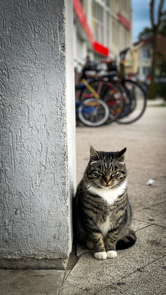 Photograph by Lenar Valeev