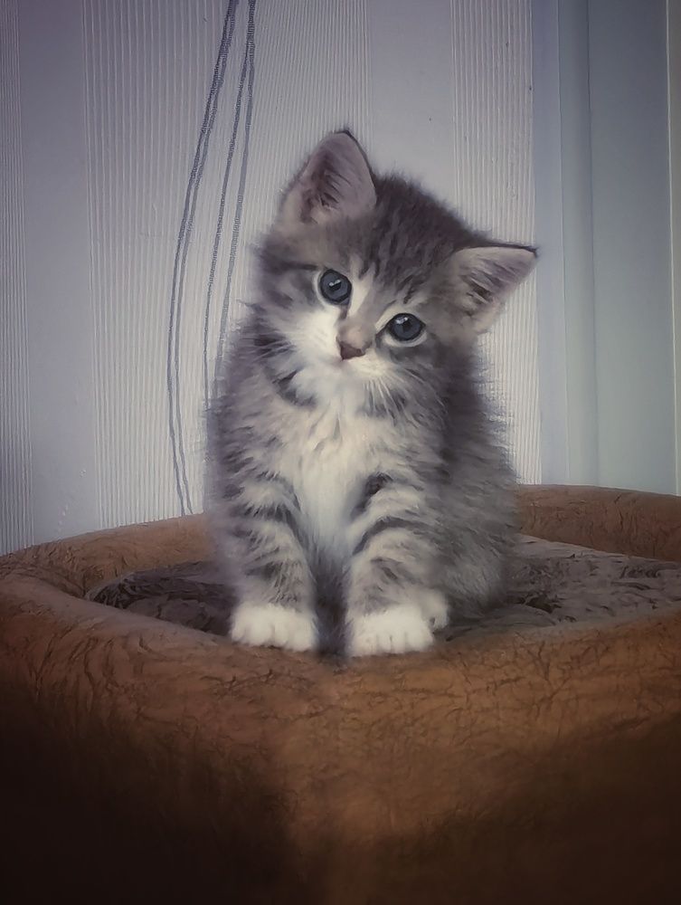 Photograph by Регина Джумалиева