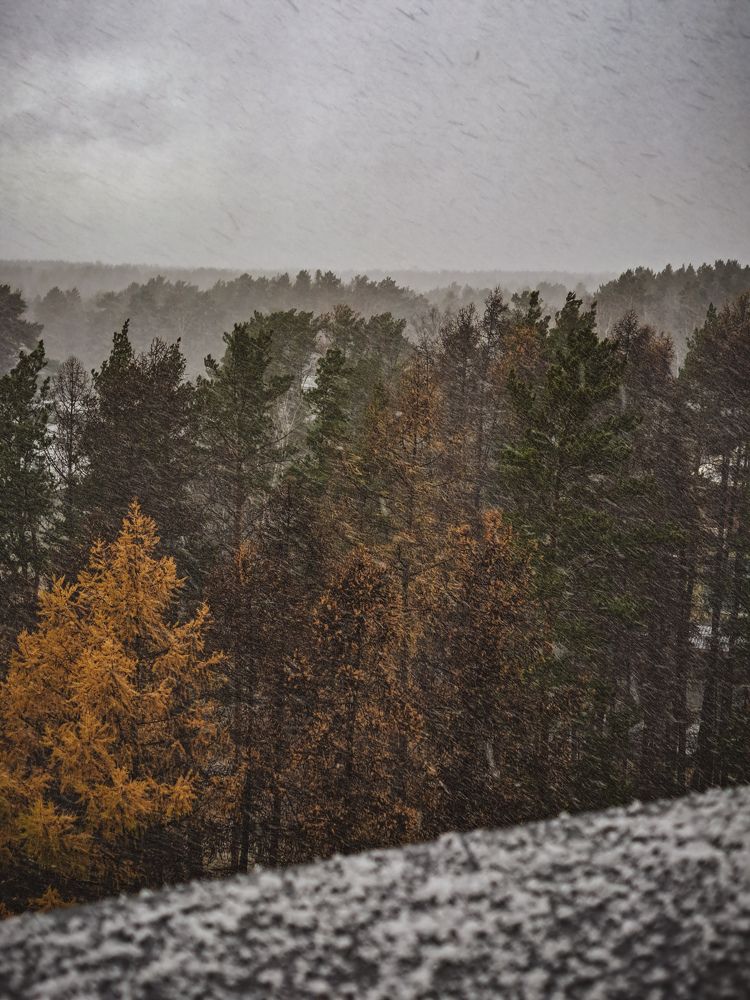 Photograph by Милана Минина