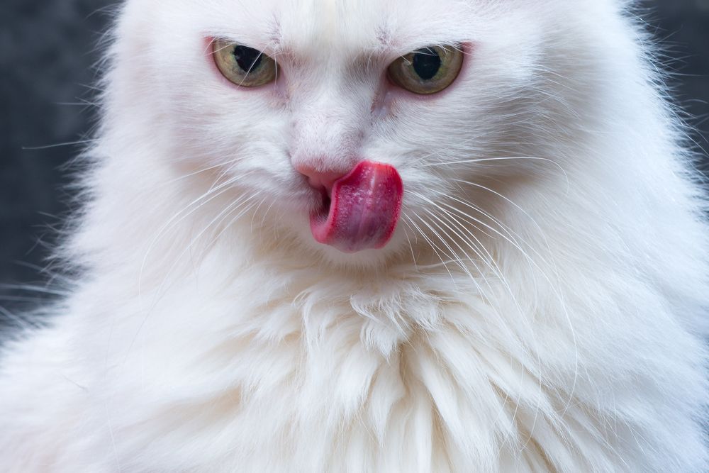 Photograph by Алексей Михайлов