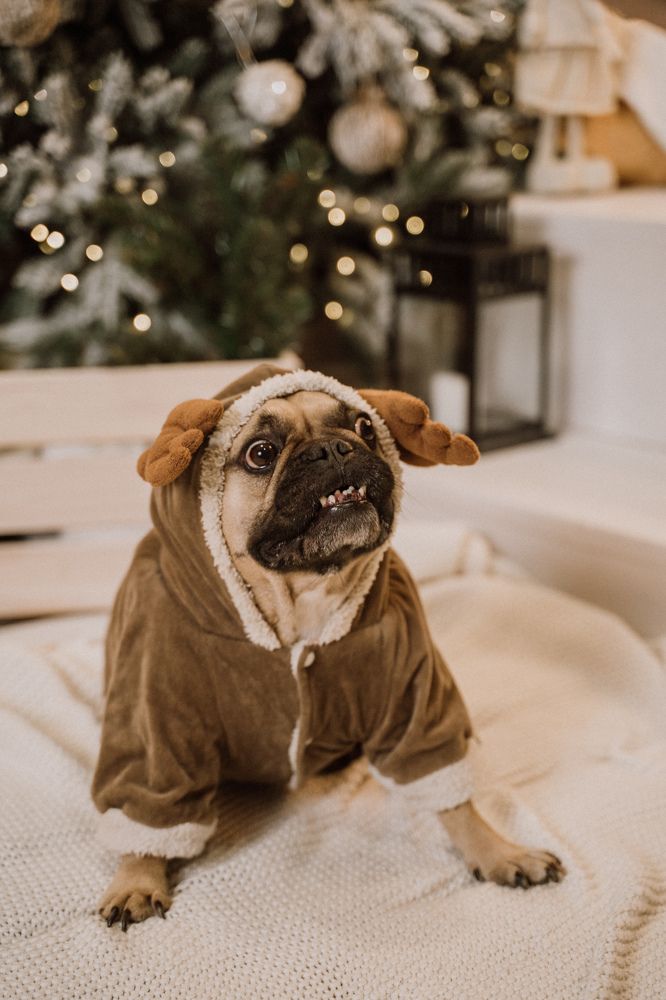 Photograph by Мокану Анастасия