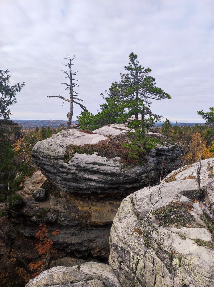 Photograph by Julia Zaroza