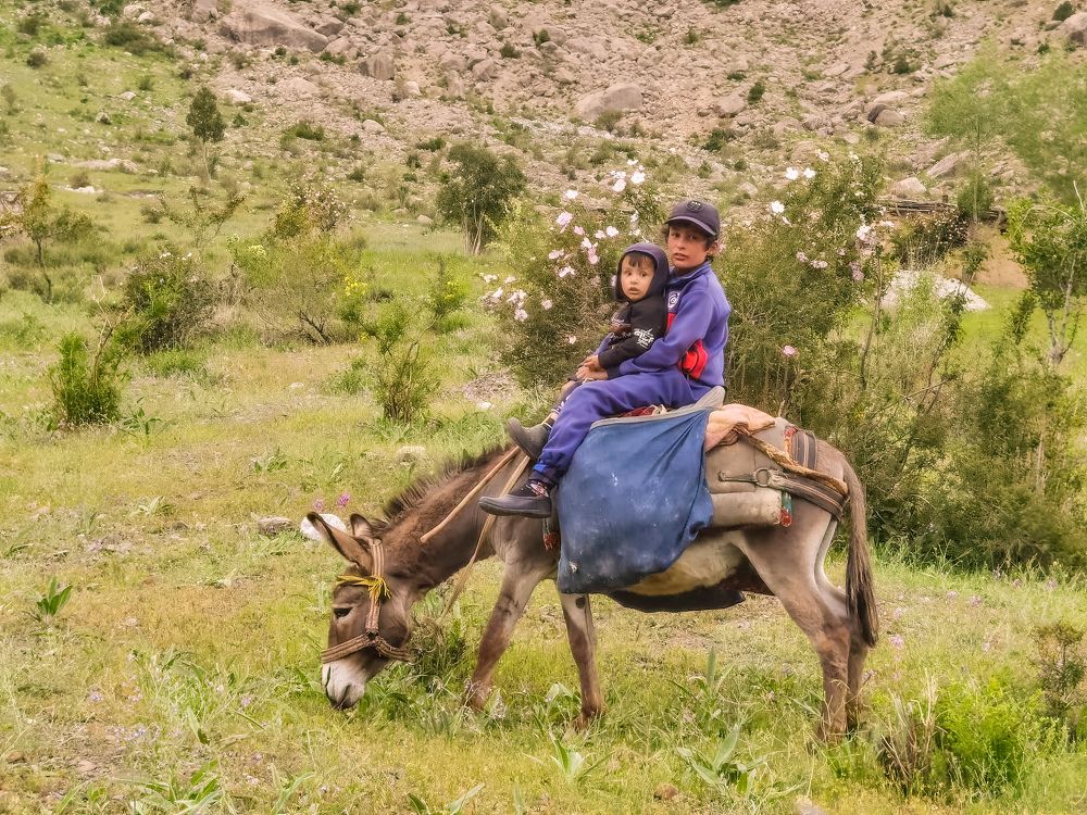 Photograph by Oleg Guchgeldiyev