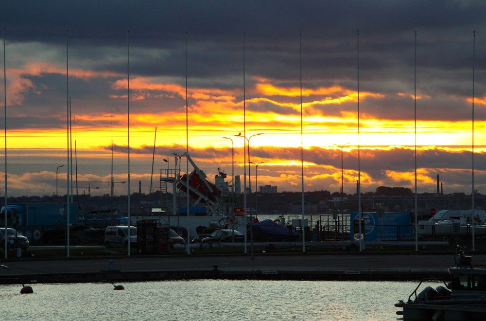 Photograph by Anna Baykova