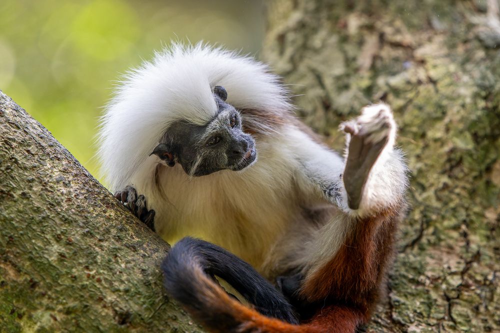 Фотография автора Ovidiu-Daniel Iordache