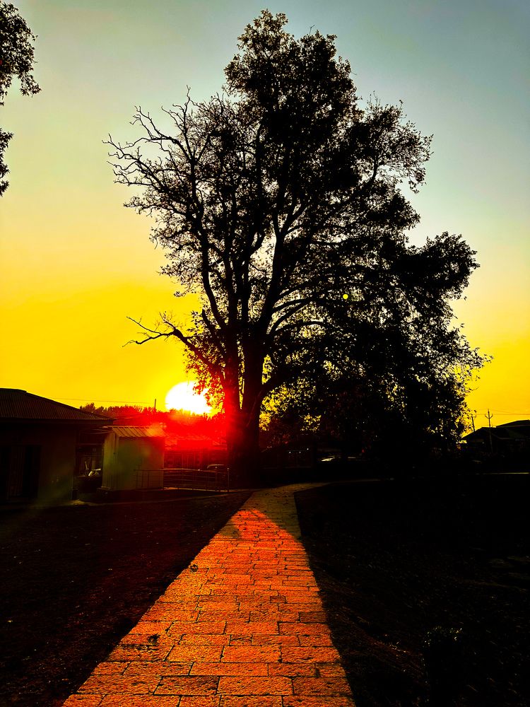 Photograph by Abdul Raouf Dar