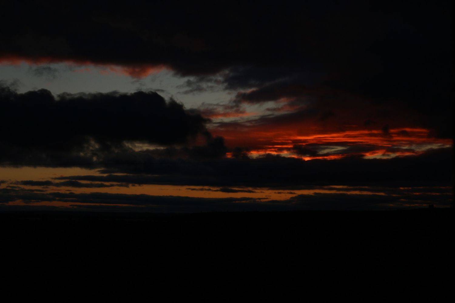 Photo #9812206