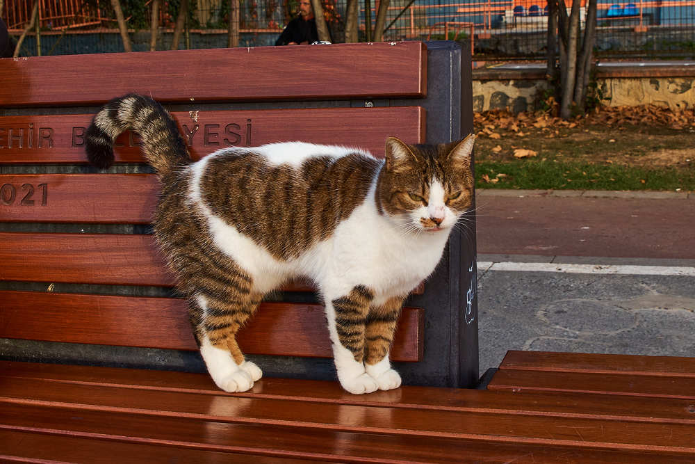 Photograph by Дмитрий Солодухин