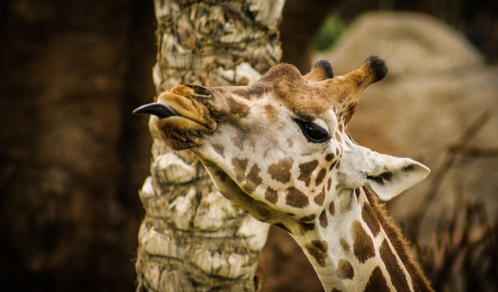 Photograph by Дария Максимова
