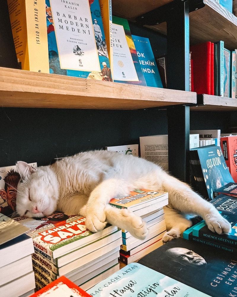 Photograph by Виталия