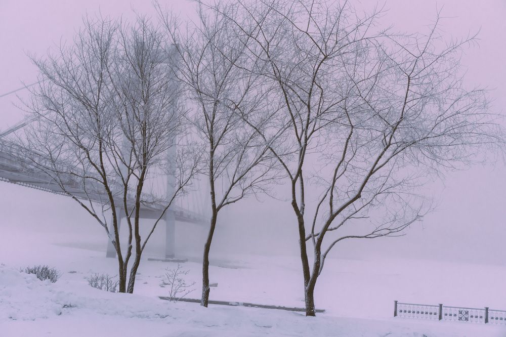 Photograph by Александр Пургин