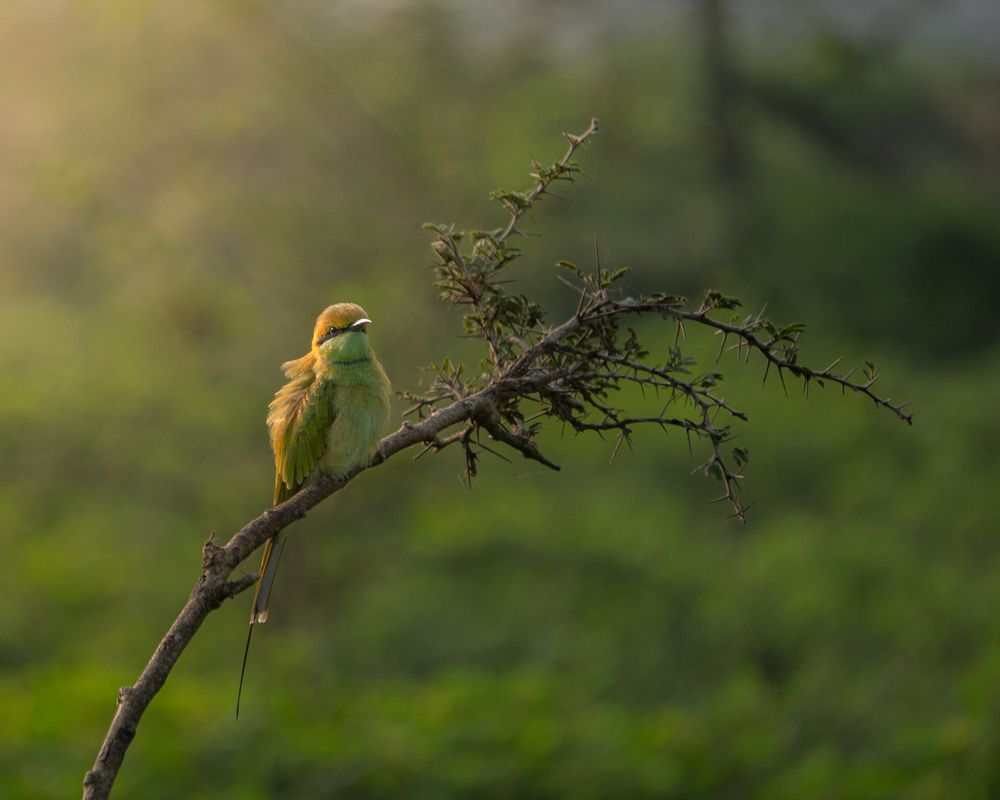 Photograph by Dhruv Kaithwas