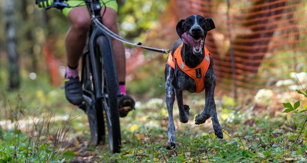 Photograph by Ольга Ченцова