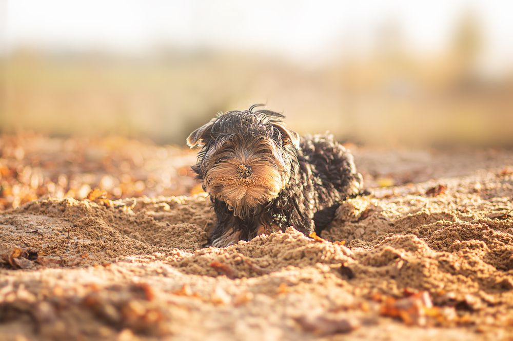 Фотография автора Kseniya Osadchuk