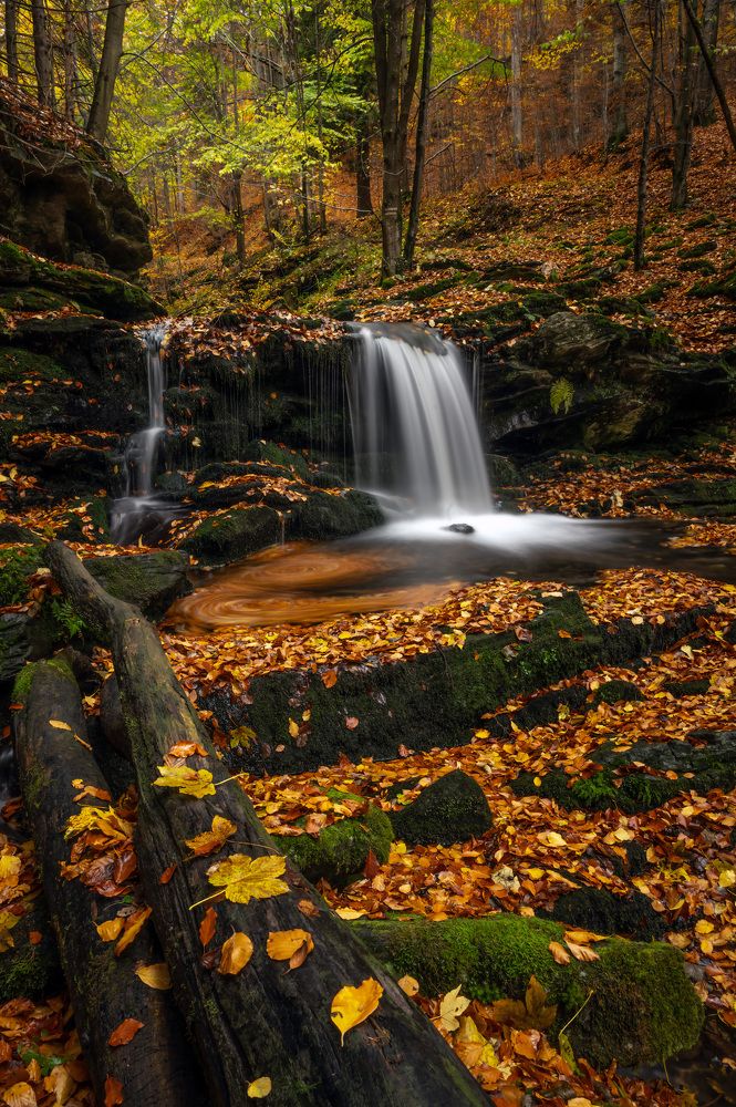 Photograph by Martin Nadymáček