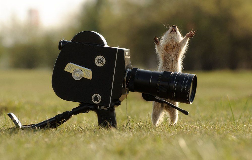 Photograph by Фомина Марина