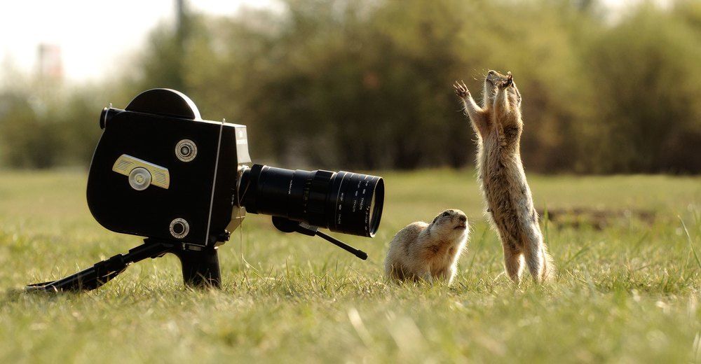 Photograph by Фомина Марина