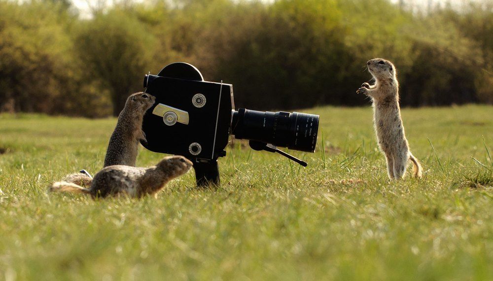 Photograph by Фомина Марина