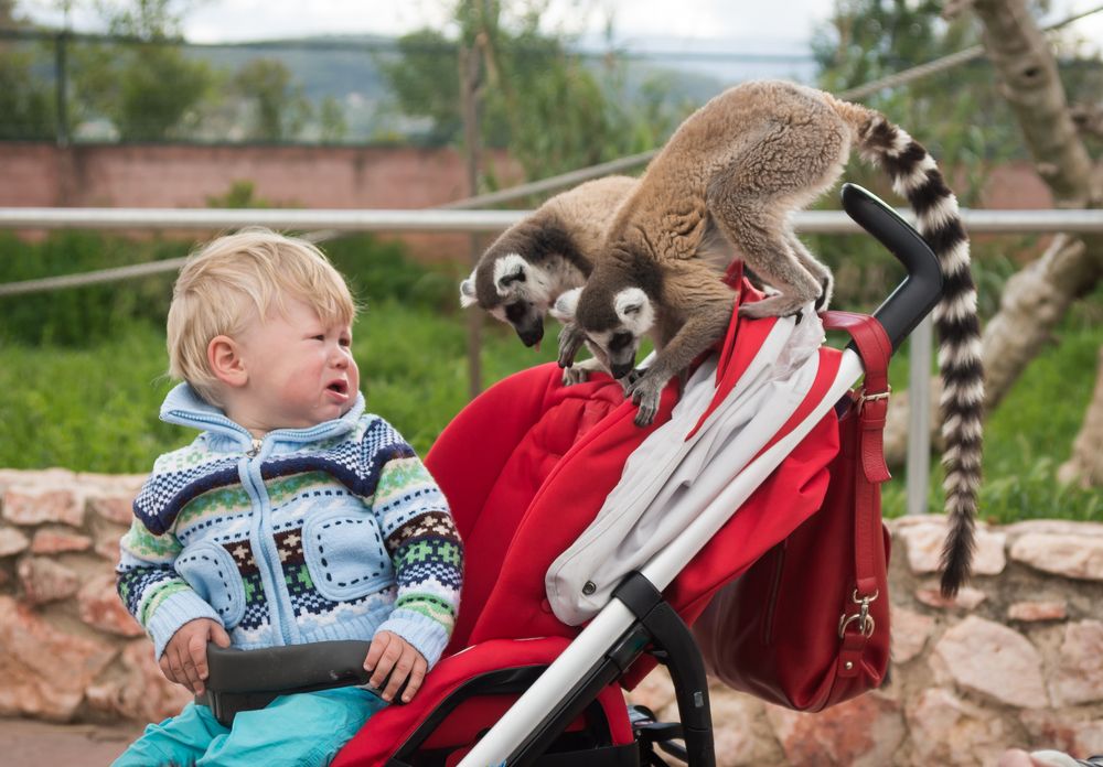 Photograph by Дария Максимова