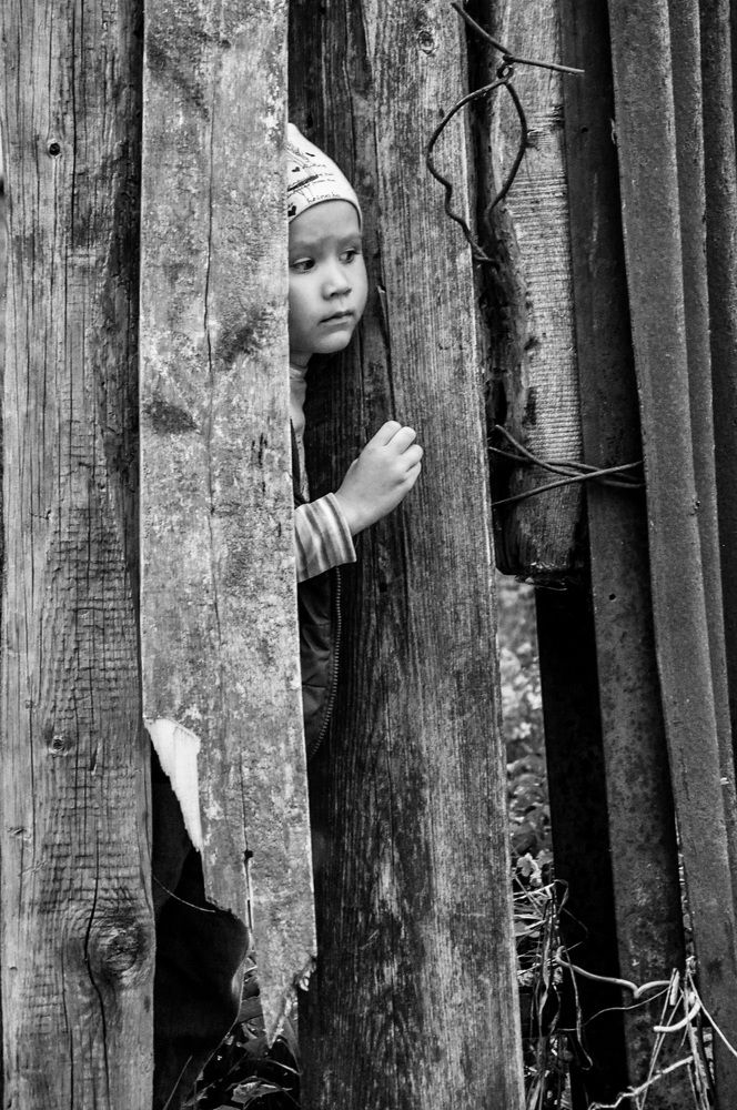 Фотография автора Анна Горохова