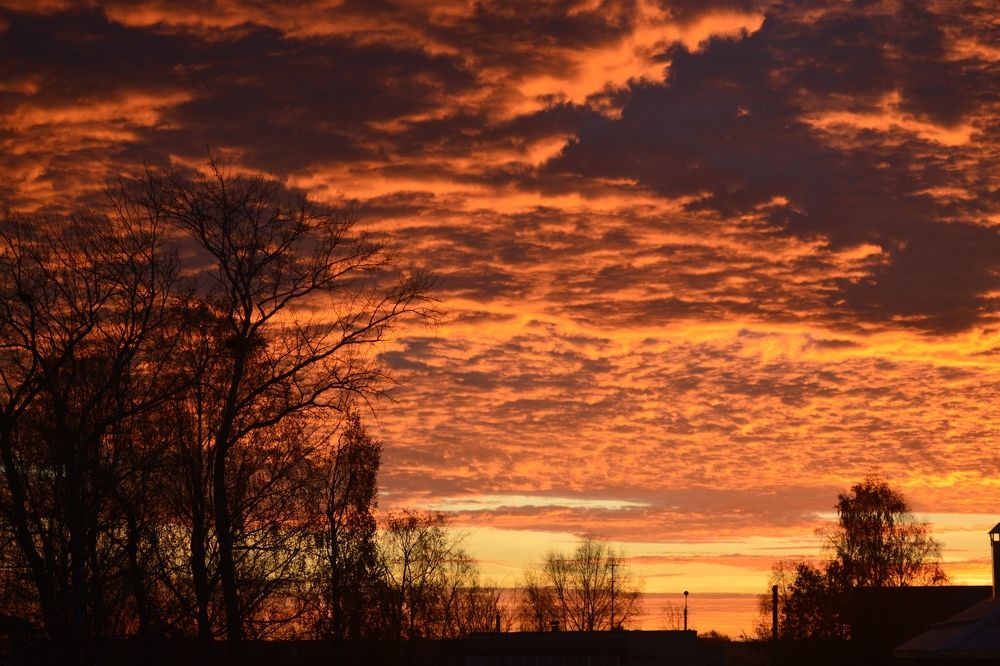 Photograph by Ксения Лебедева