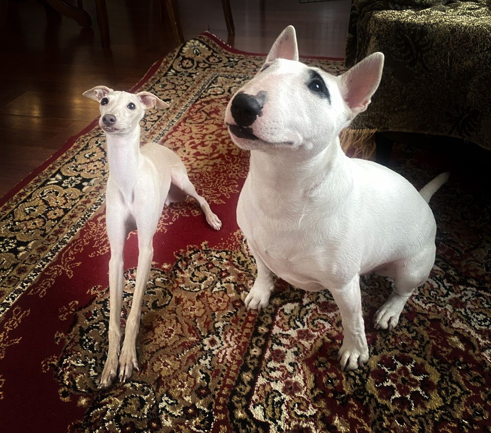 Photograph by Елена Шкред