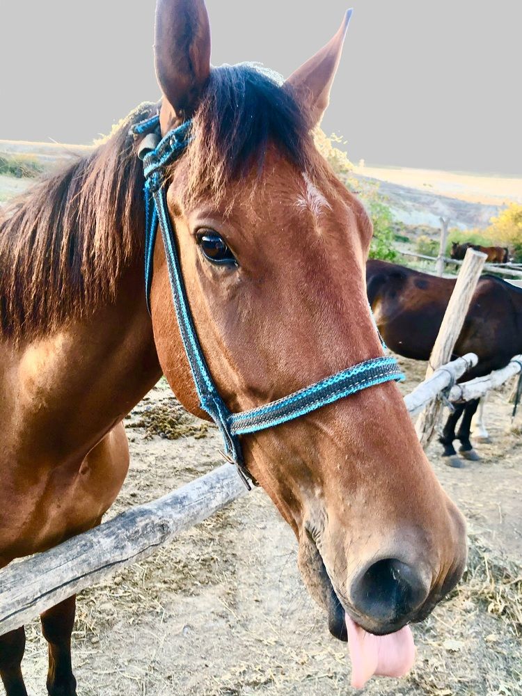 Photograph by Елена Шкред